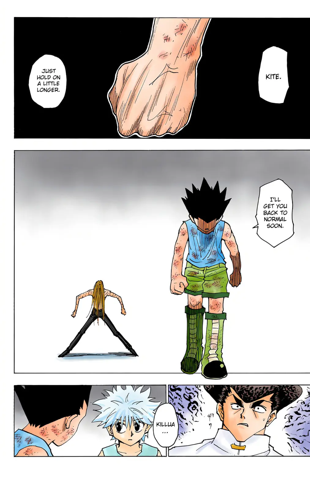 Hunter x Hunter Colored Manga, chapter 222, page 14