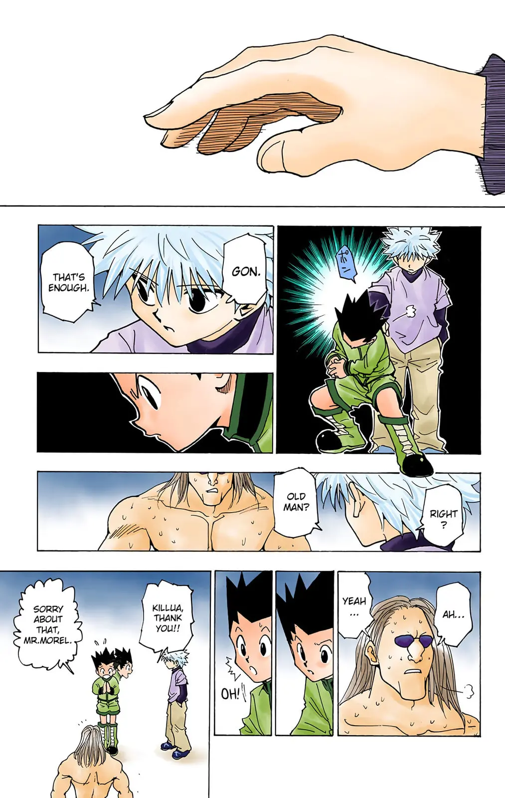 Hunter x Hunter Colored Manga, chapter 223, page 13