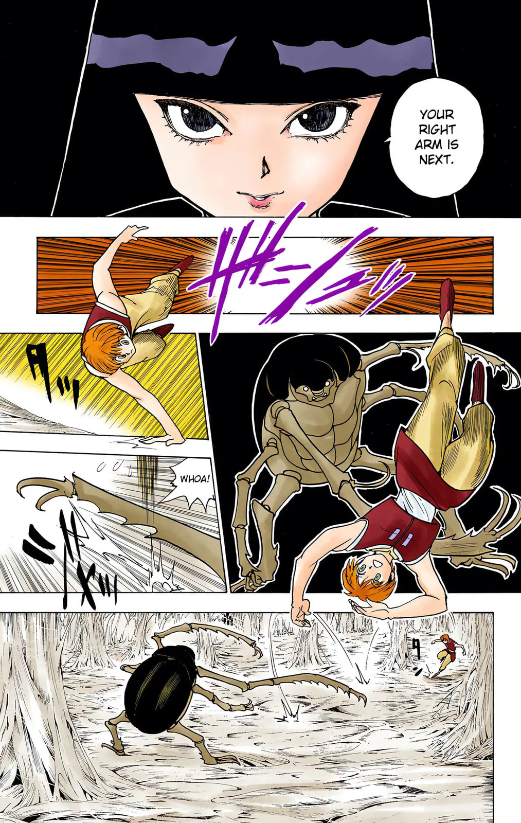 Hunter x Hunter Colored Manga, chapter 226, page 7