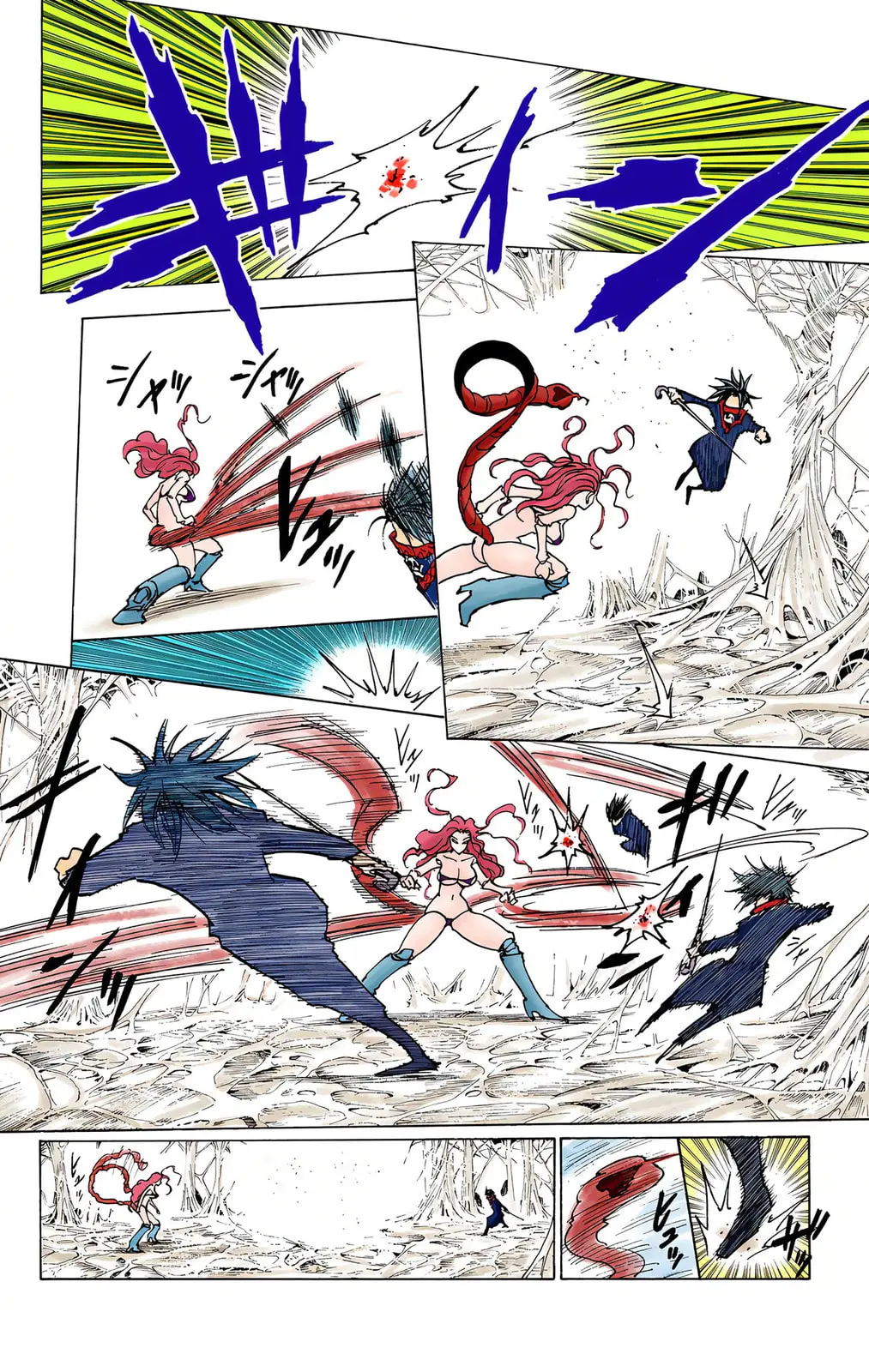 Hunter x Hunter Colored Manga, chapter 228, page 6