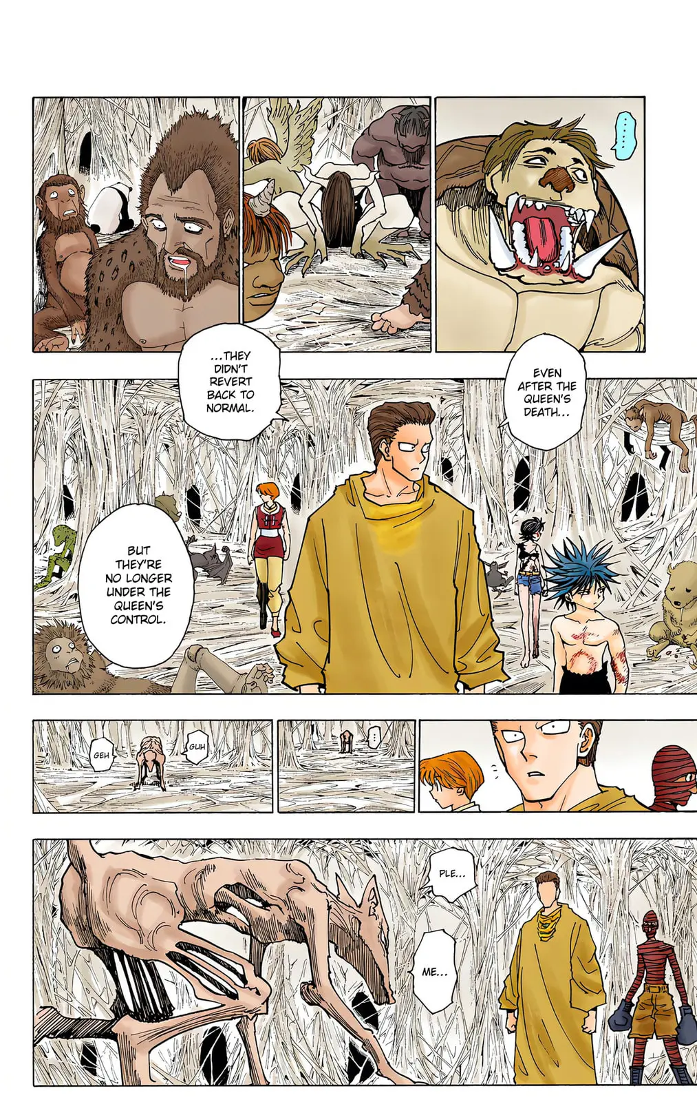 Hunter x Hunter Colored Manga, chapter 229, page 10
