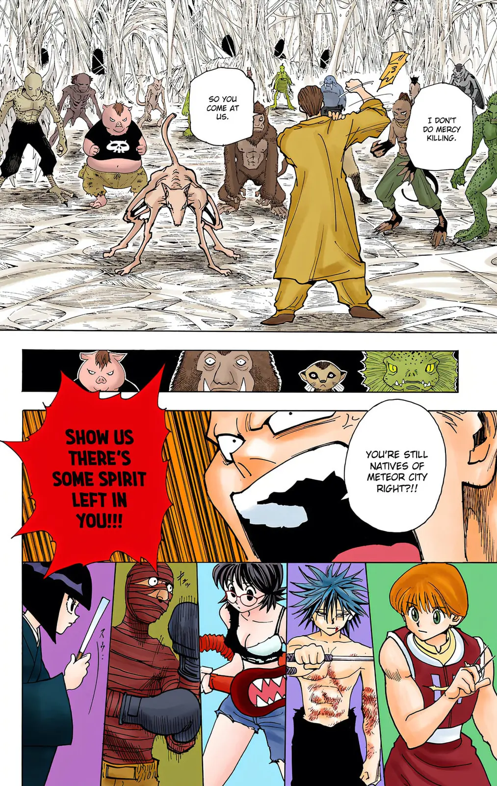 Hunter x Hunter Colored Manga, chapter 229, page 12