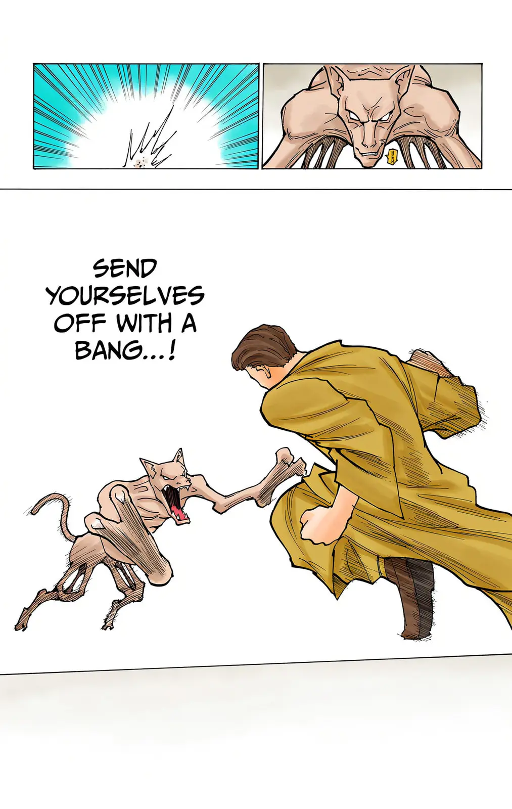 Hunter x Hunter Colored Manga, chapter 229, page 13