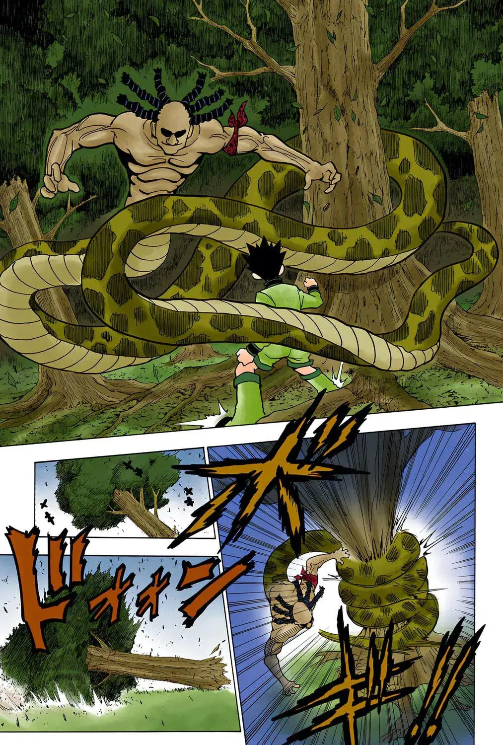 Hunter x Hunter Colored Manga, chapter 231, page 17