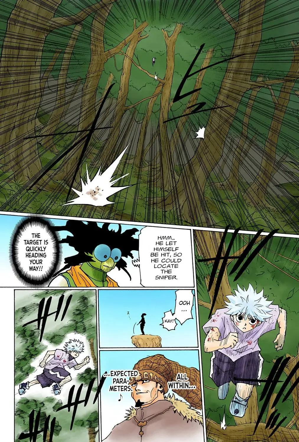 Hunter x Hunter Colored Manga, chapter 237, page 17