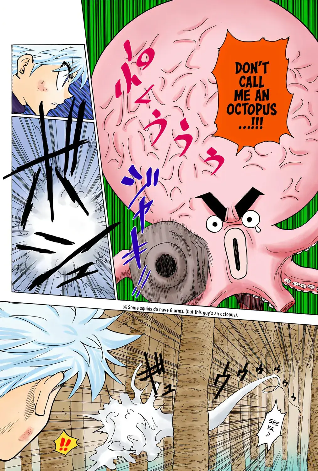 Hunter x Hunter Colored Manga, chapter 238, page 7