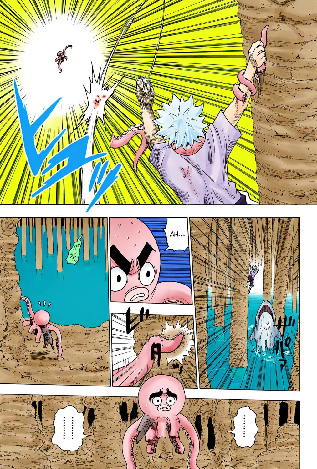 Hunter x Hunter Colored Manga, chapter 238, page 21