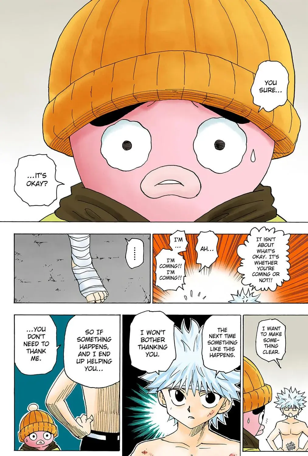 Hunter x Hunter Colored Manga, chapter 255, page 17