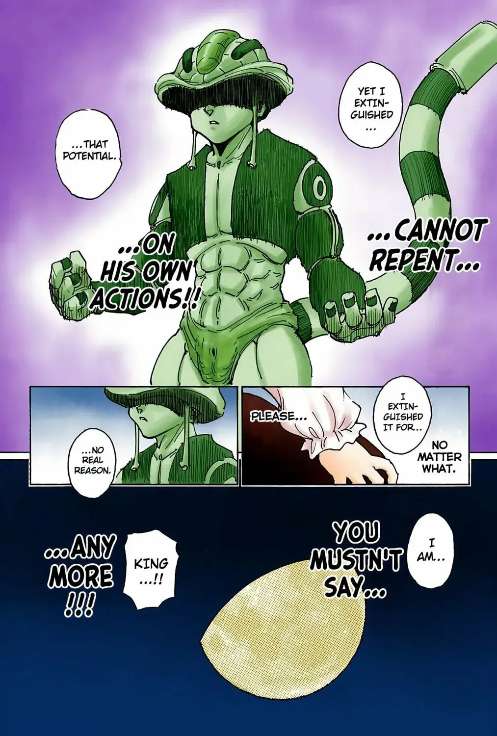 Hunter x Hunter Colored Manga, chapter 257, page 27