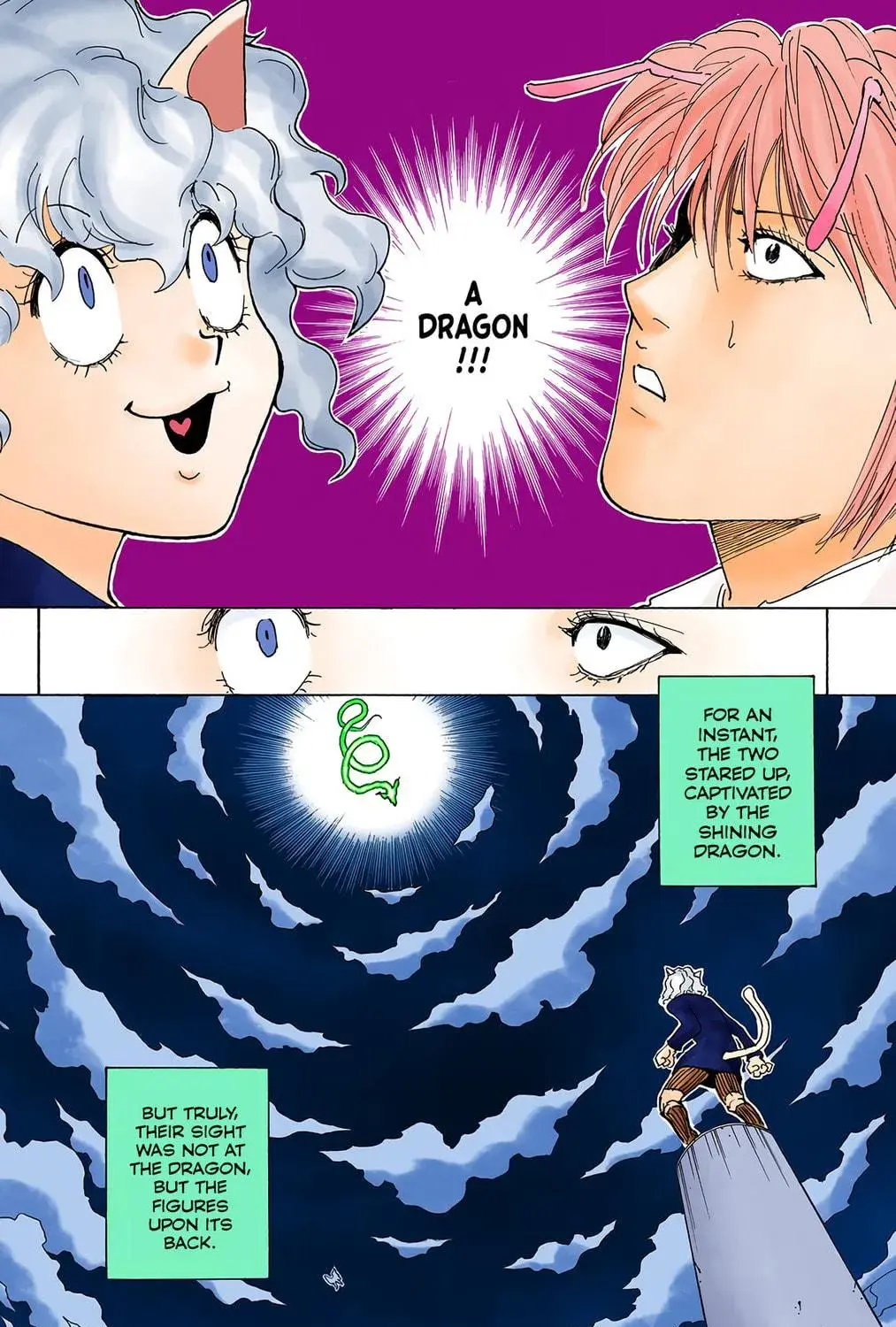 Hunter x Hunter Colored Manga, chapter 263, page 17