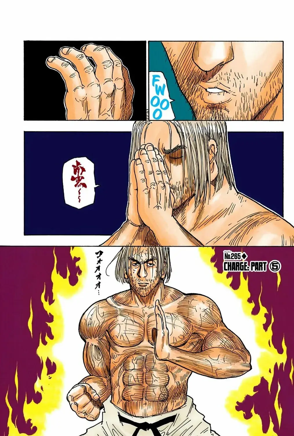Hunter x Hunter Colored Manga, chapter 265, page 1