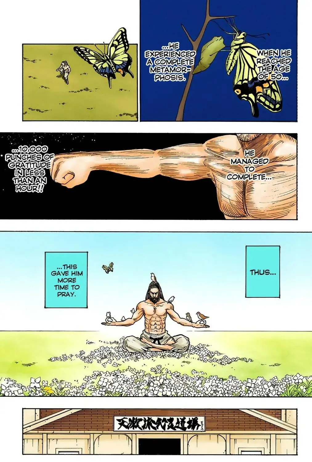 Hunter x Hunter Colored Manga, chapter 265, page 11