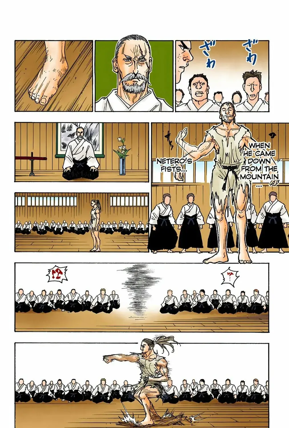 Hunter x Hunter Colored Manga, chapter 265, page 13