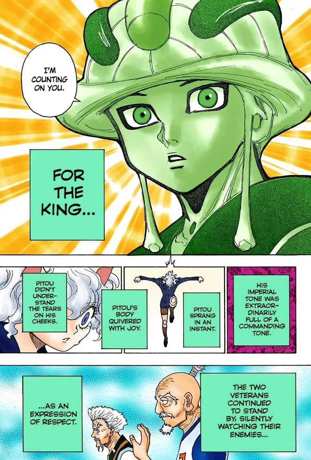 Hunter x Hunter Colored Manga, chapter 268, page 11