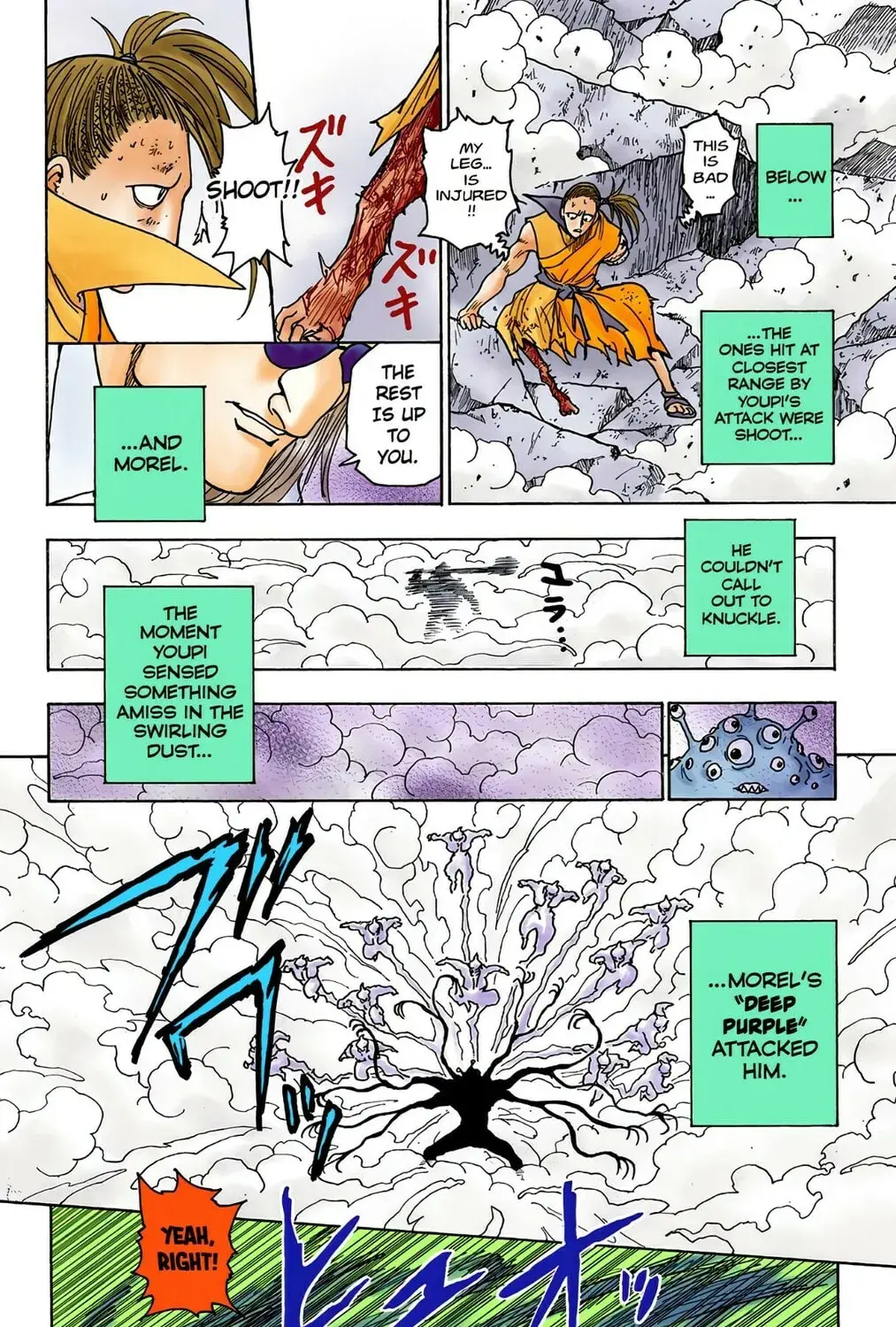 Hunter x Hunter Colored Manga, chapter 268, page 25