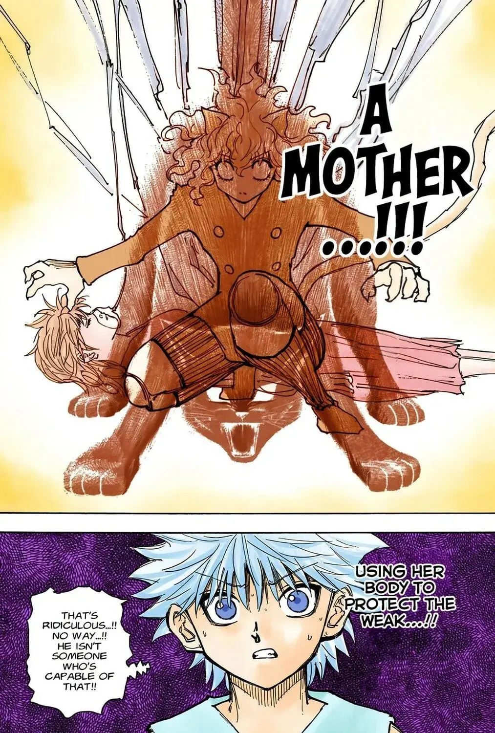 Hunter x Hunter Colored Manga, chapter 274, page 9