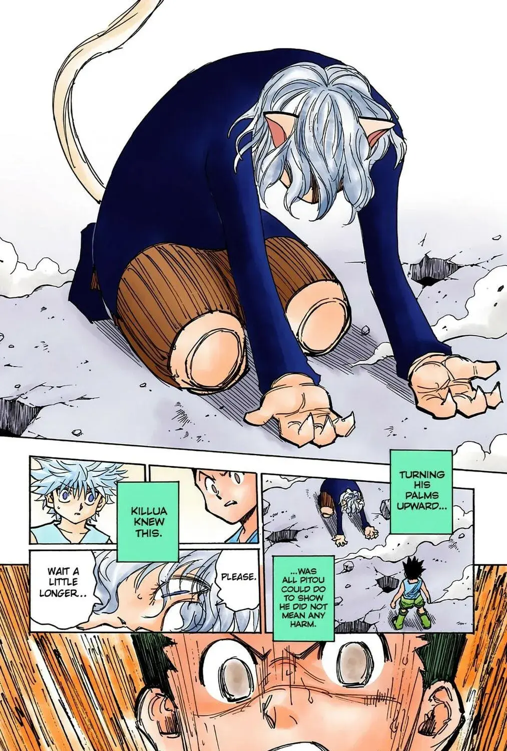 Hunter x Hunter Colored Manga, chapter 274, page 17