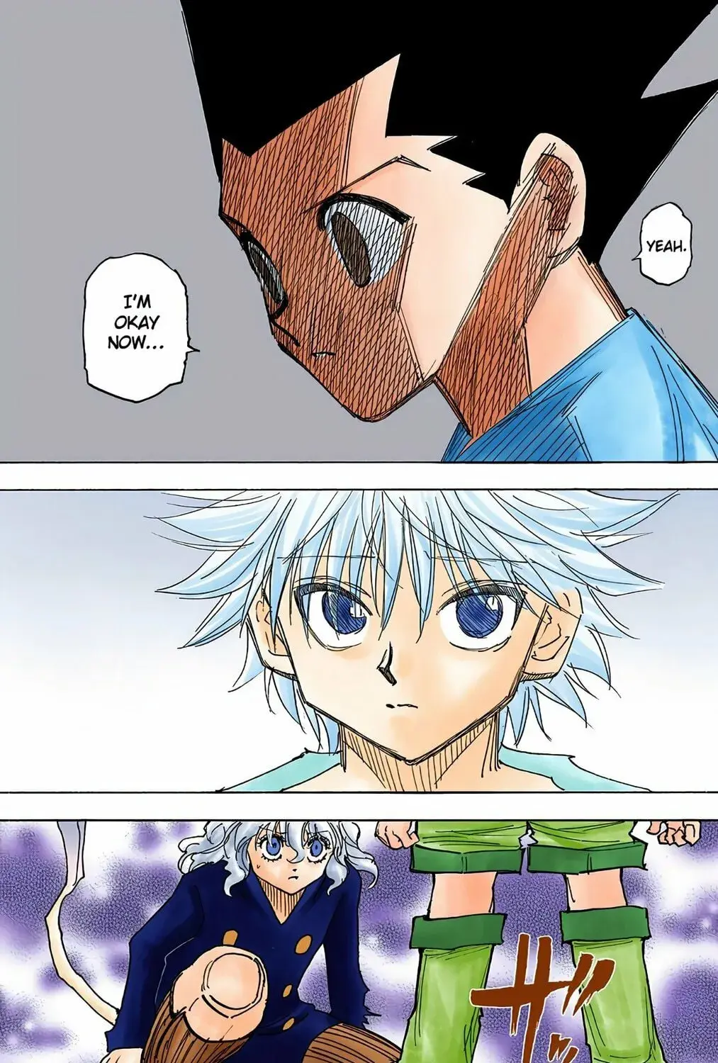 Hunter x Hunter Colored Manga, chapter 275, page 25