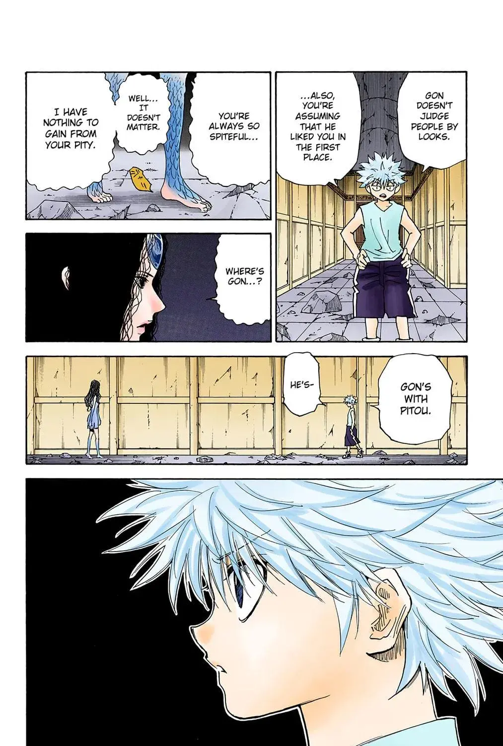 Hunter x Hunter Colored Manga, chapter 293, page 19