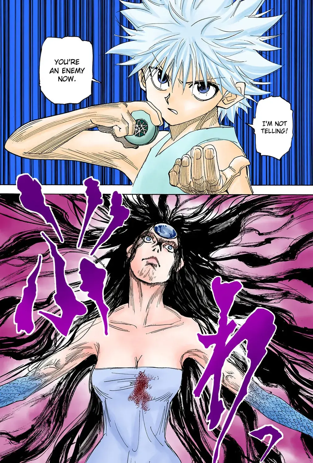 Hunter x Hunter Colored Manga, chapter 293, page 25