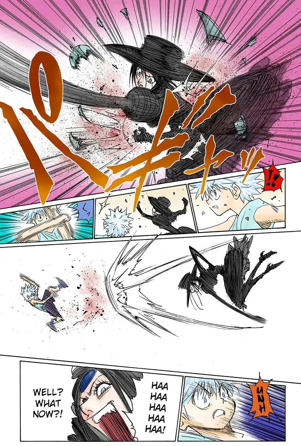 Hunter x Hunter Colored Manga, chapter 293, page 33