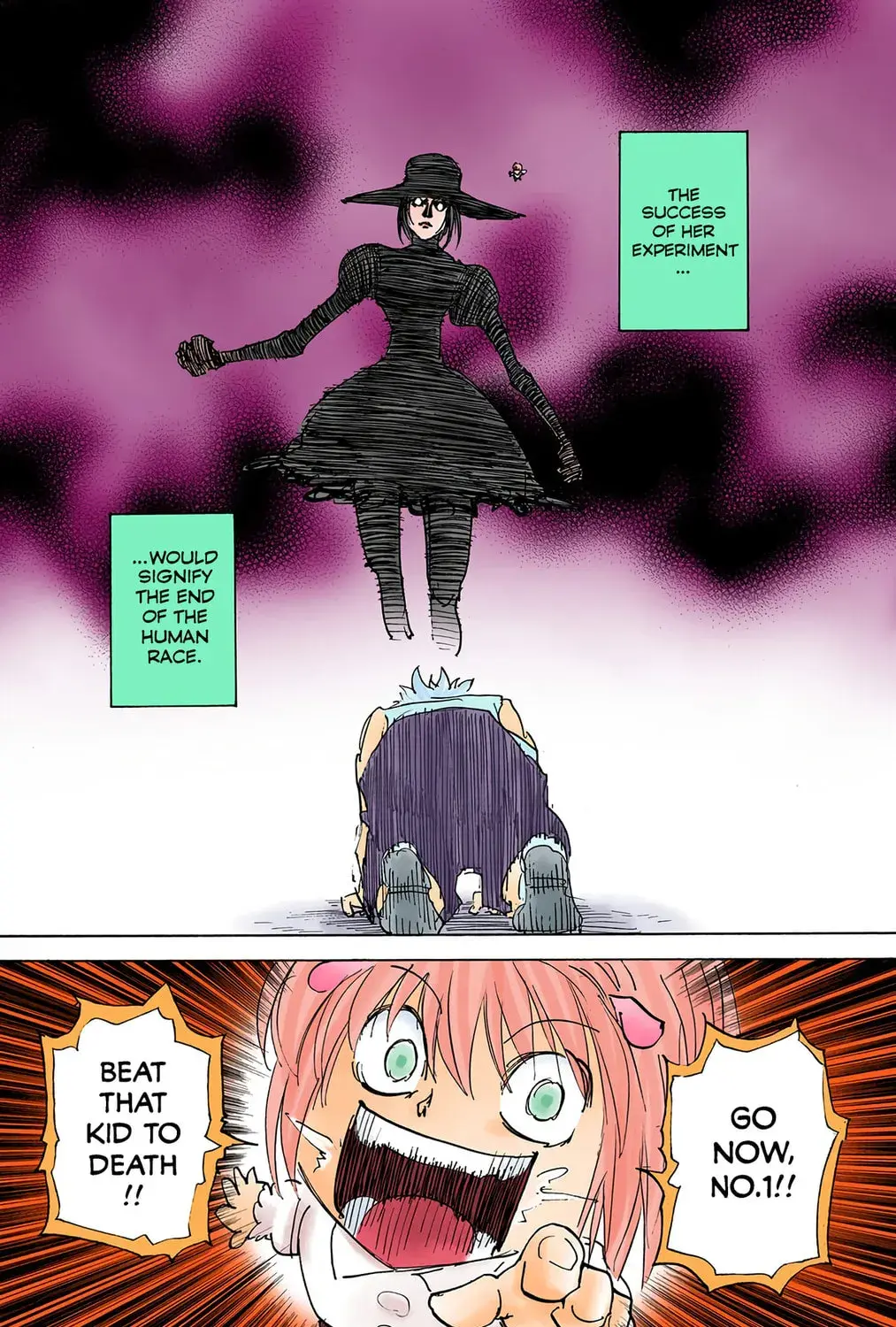 Hunter x Hunter Colored Manga, chapter 294, page 25