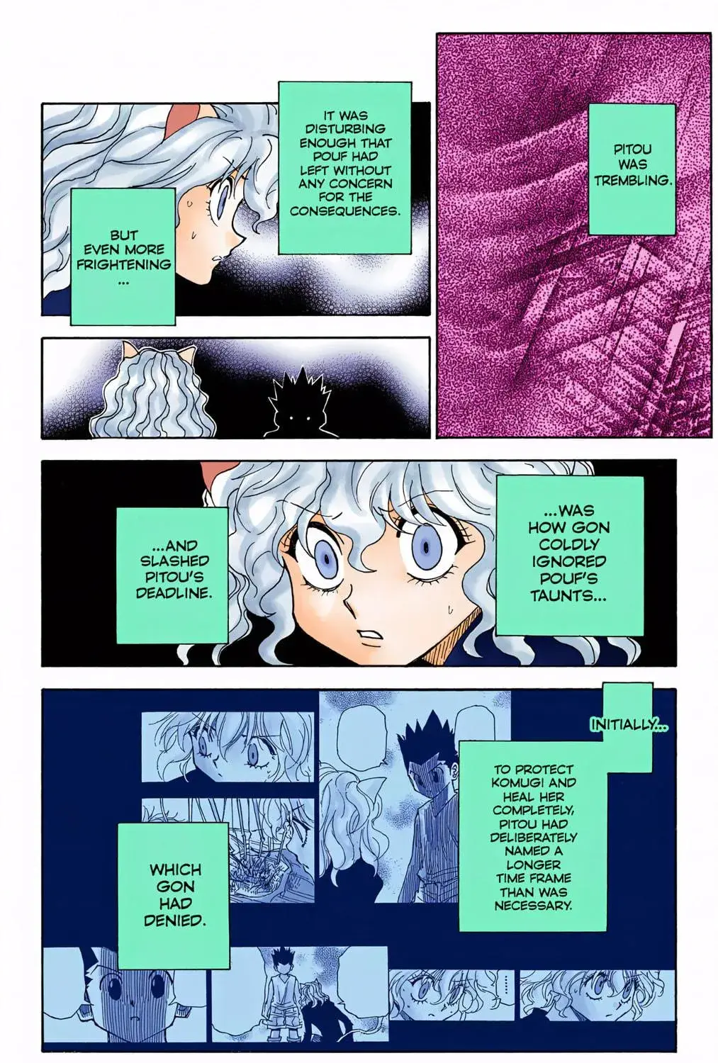 Hunter x Hunter Colored Manga, chapter 295, page 23