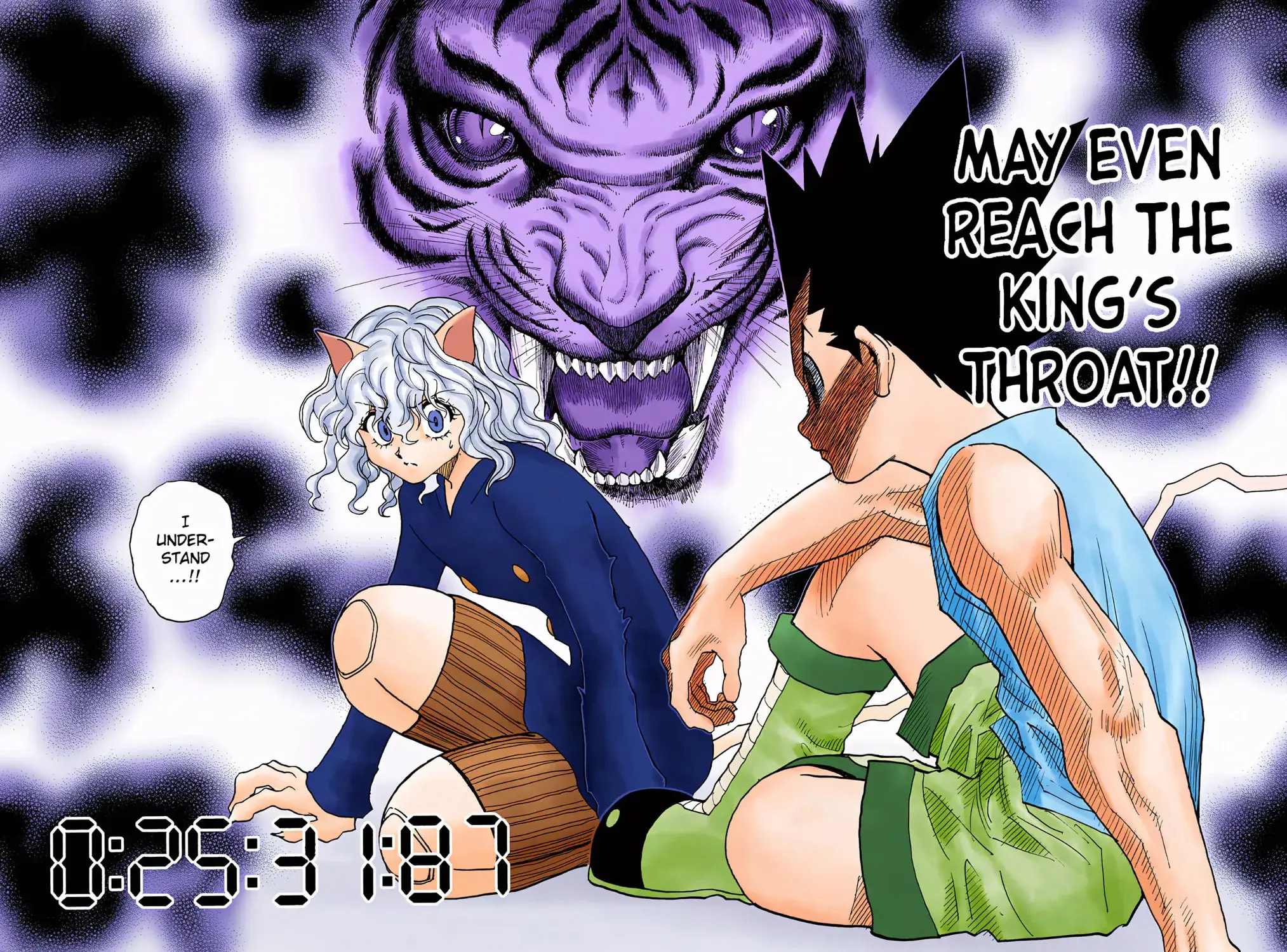 Hunter x Hunter Colored Manga, chapter 295, page 27