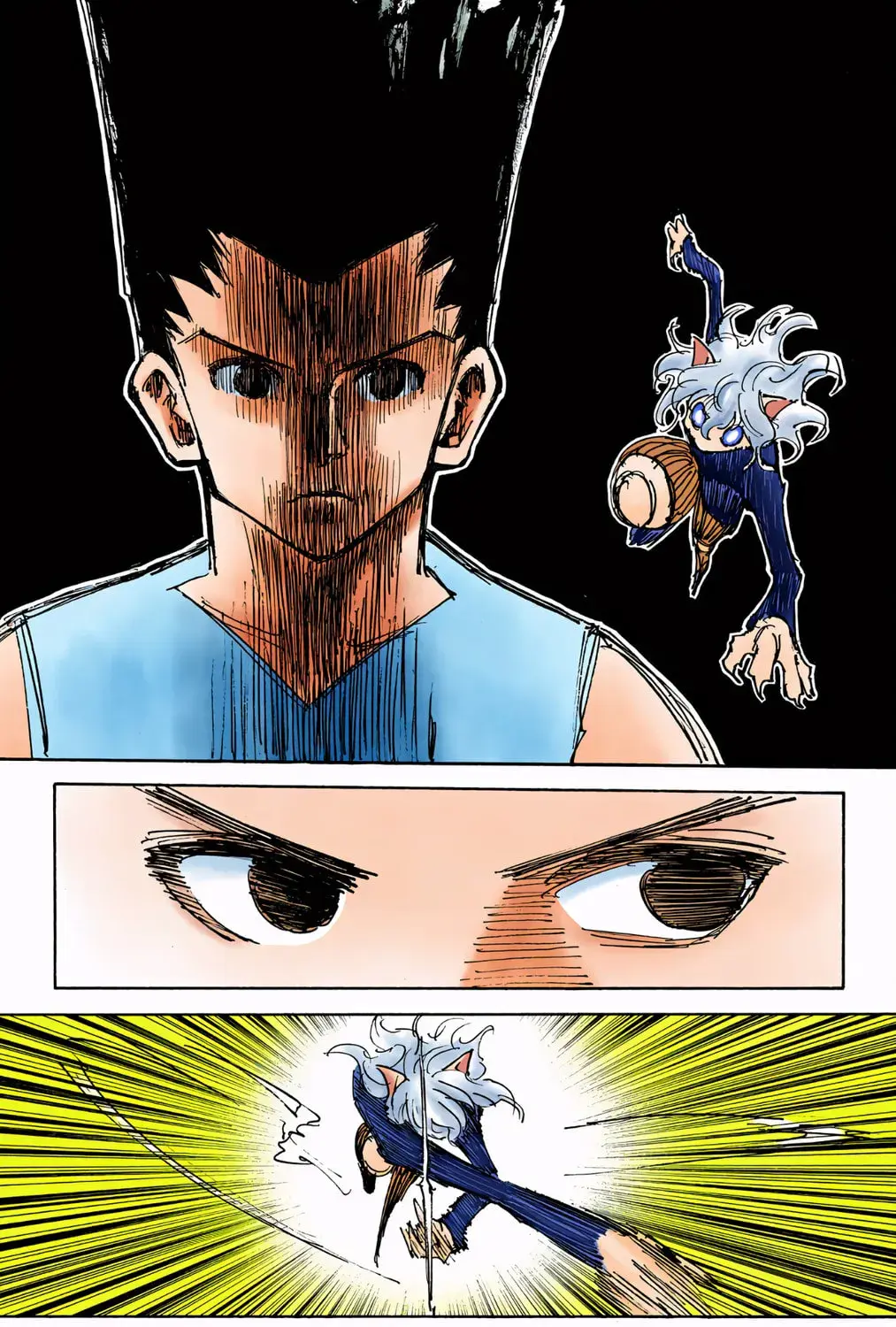 Hunter x Hunter Colored Manga, chapter 306, page 13