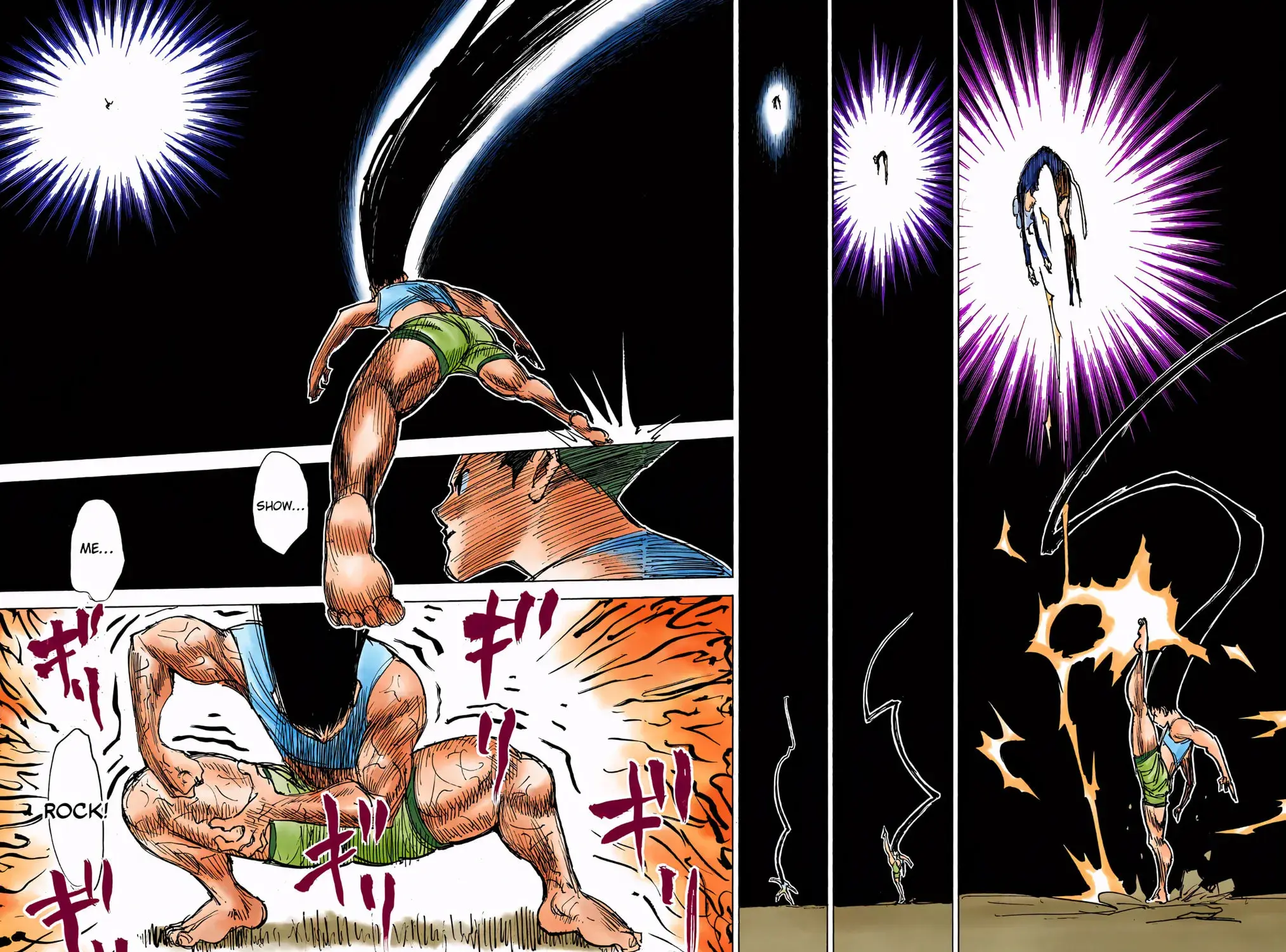 Hunter x Hunter Colored Manga, chapter 306, page 17