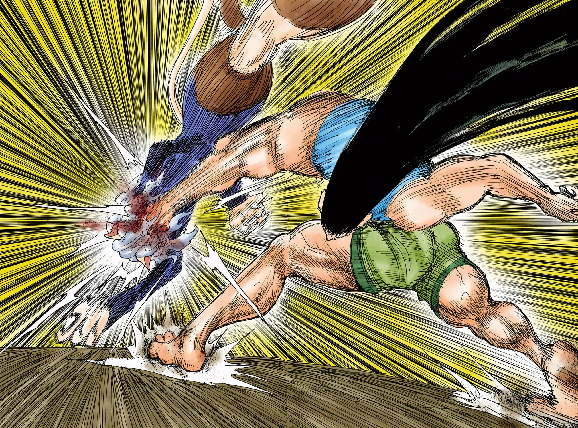 Hunter x Hunter Colored Manga, chapter 306, page 23