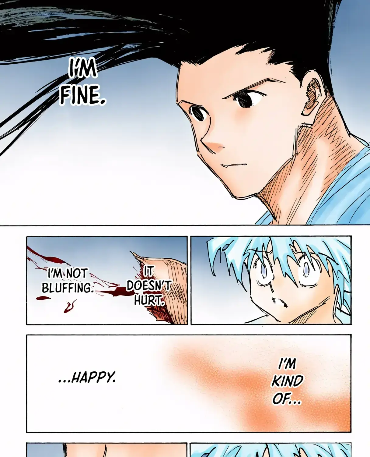 Hunter x Hunter Colored Manga, chapter 307, page 13
