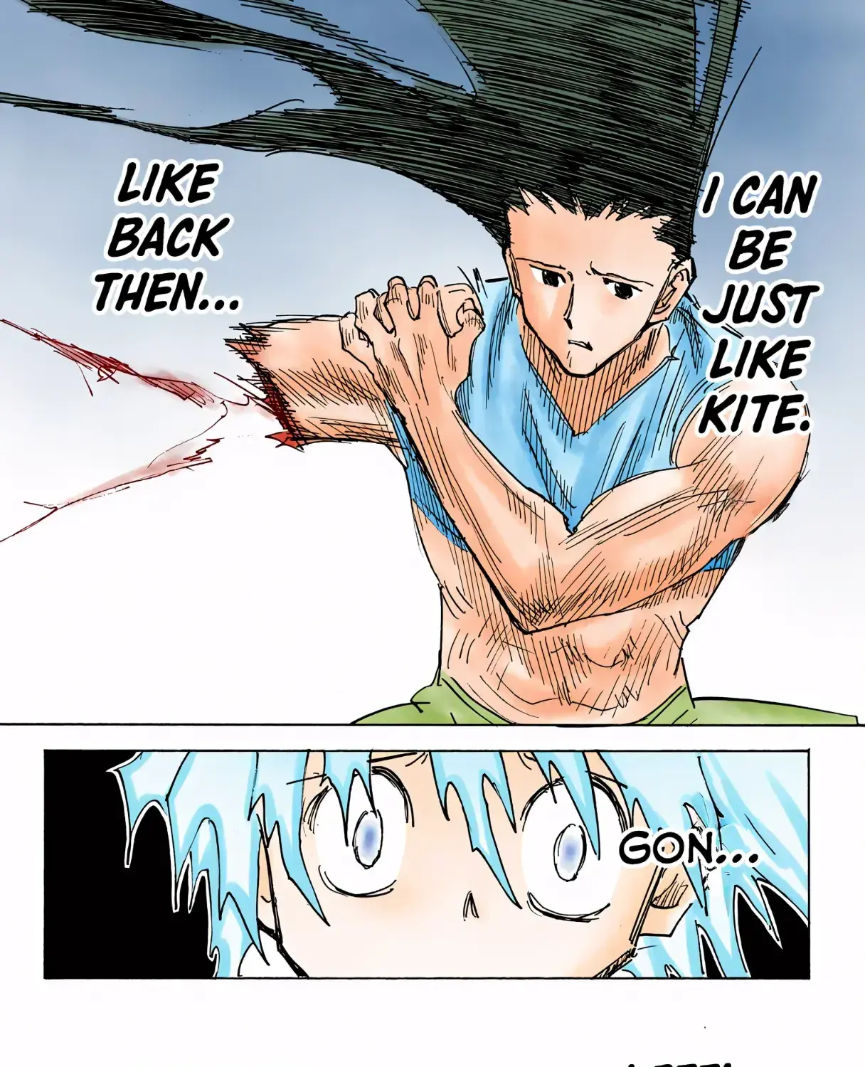 Hunter x Hunter Colored Manga, chapter 307, page 15
