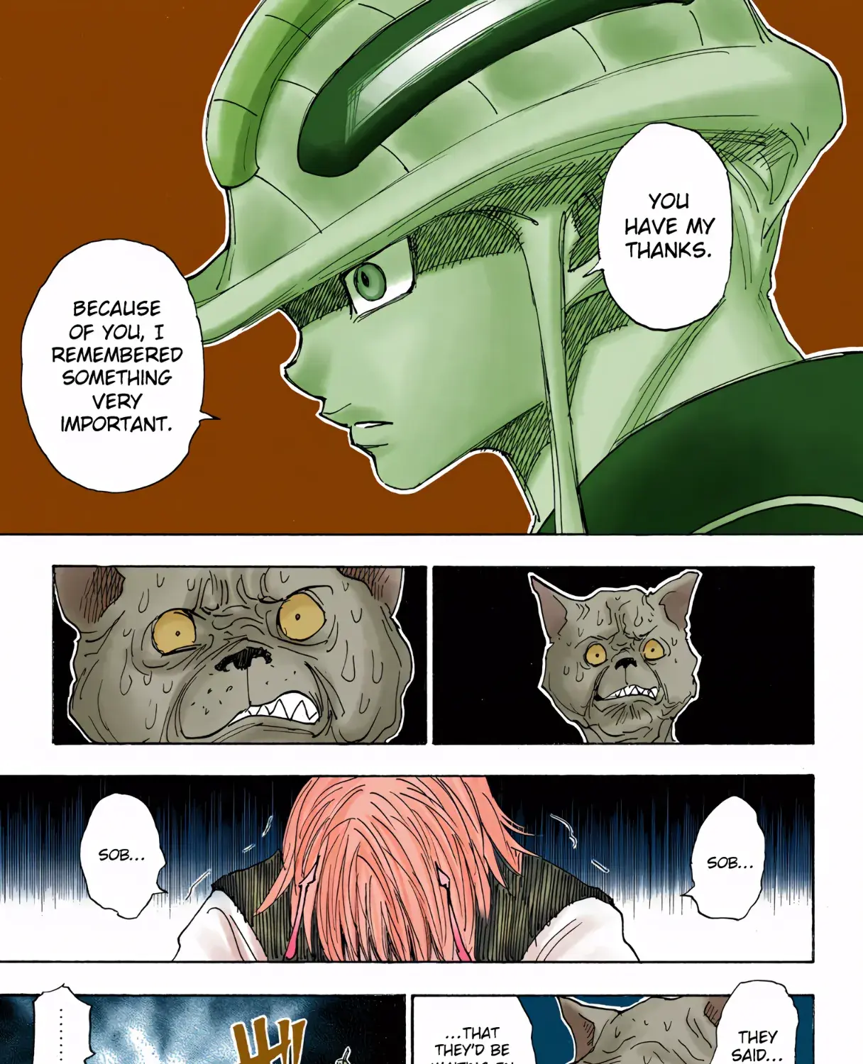 Hunter x Hunter Colored Manga, chapter 313, page 23