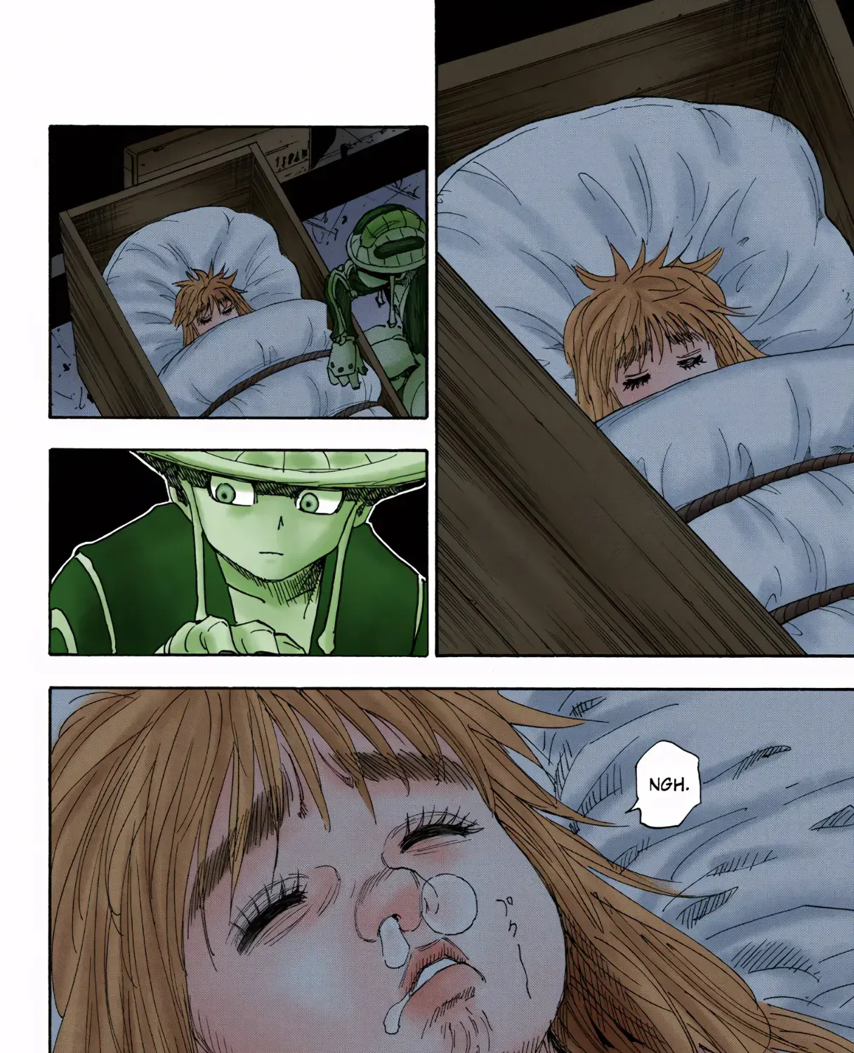 Hunter x Hunter Colored Manga, chapter 314, page 33