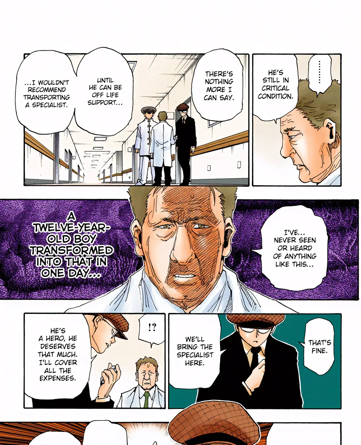 Hunter x Hunter Colored Manga, chapter 316, page 13
