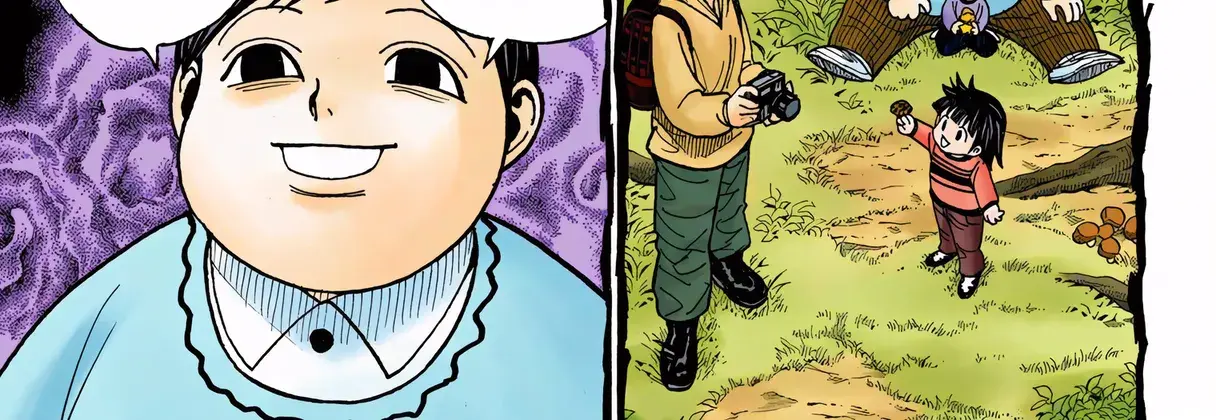 Hunter x Hunter Colored Manga, chapter 323, page 6