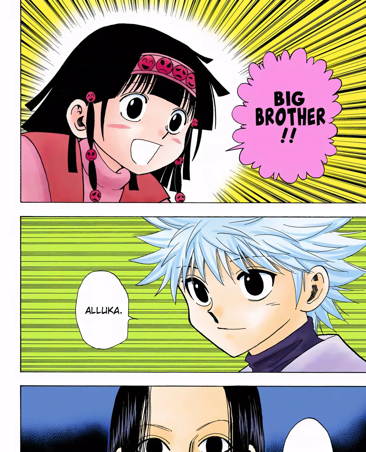 Hunter x Hunter Colored Manga, chapter 323, page 15