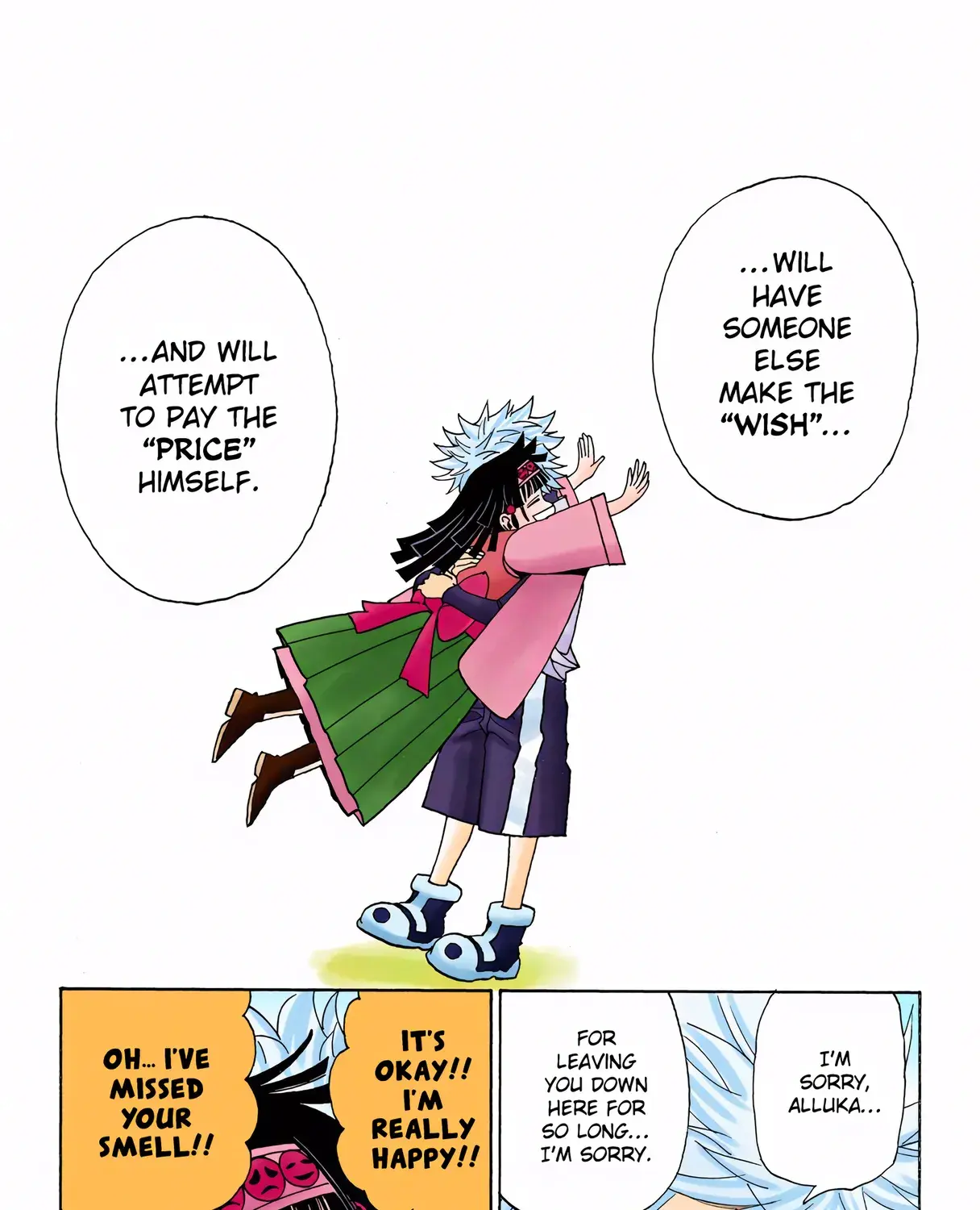 Hunter x Hunter Colored Manga, chapter 323, page 17