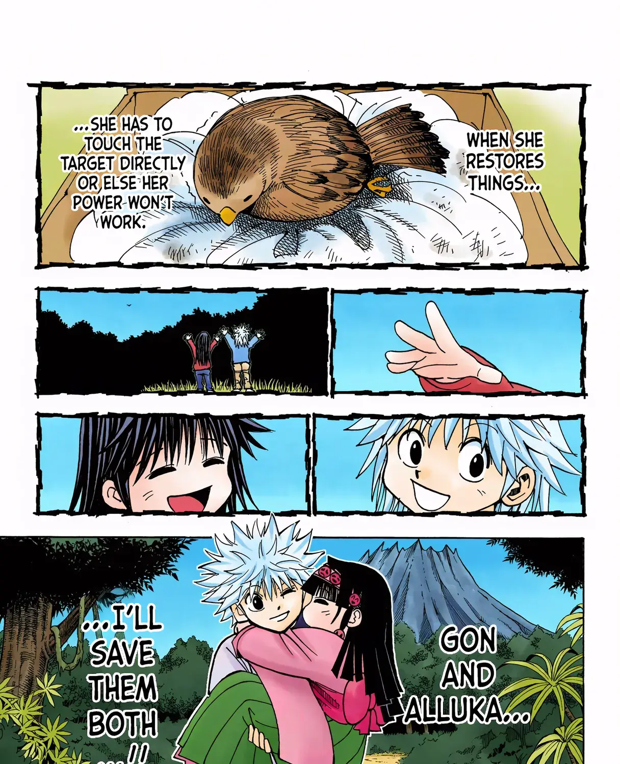 Hunter x Hunter Colored Manga, chapter 324, page 17