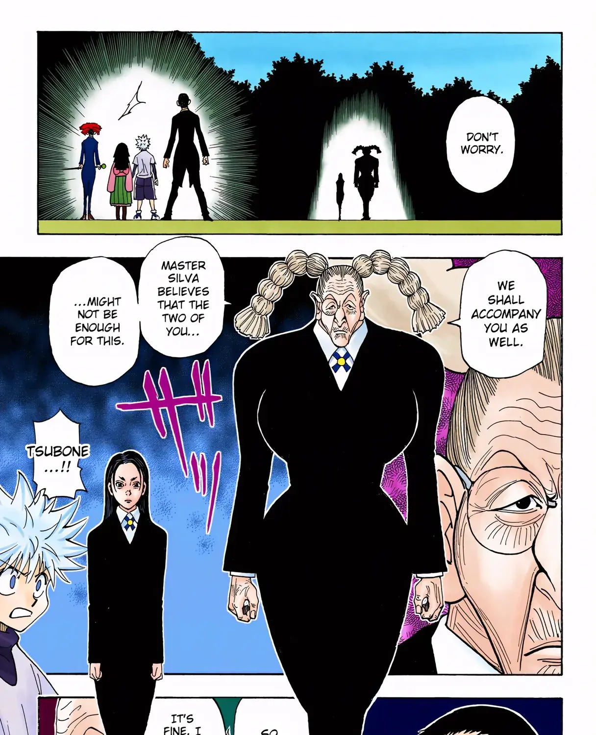 Hunter x Hunter Colored Manga, chapter 324, page 29