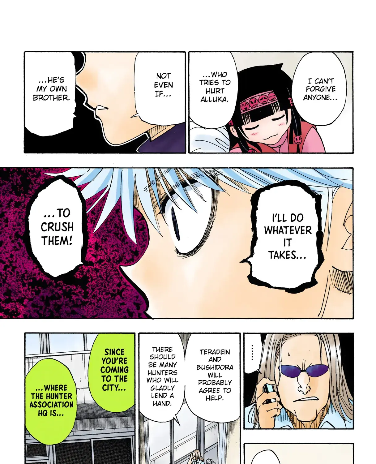 Hunter x Hunter Colored Manga, chapter 328, page 33