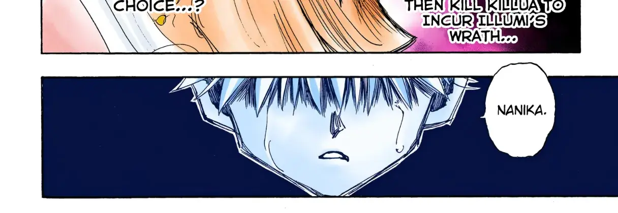 Hunter x Hunter Colored Manga, chapter 330, page 18