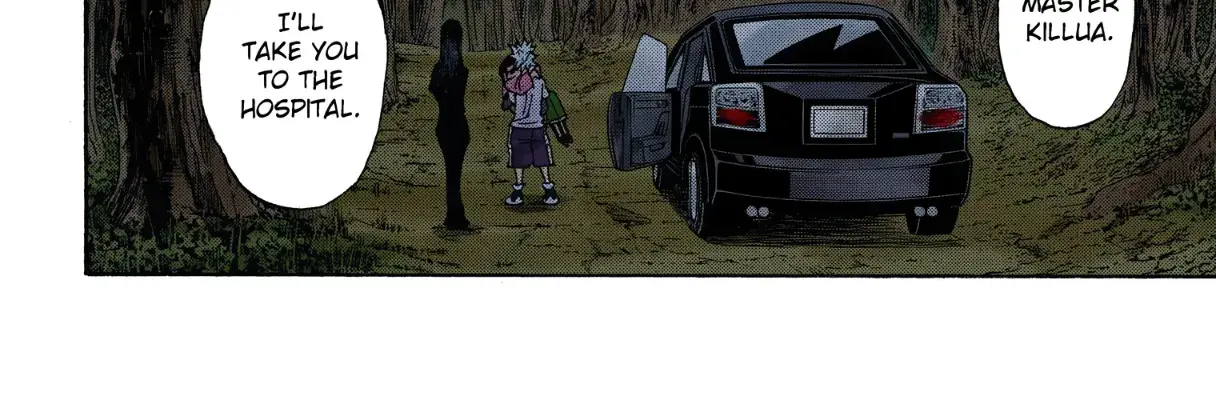 Hunter x Hunter Colored Manga, chapter 330, page 30