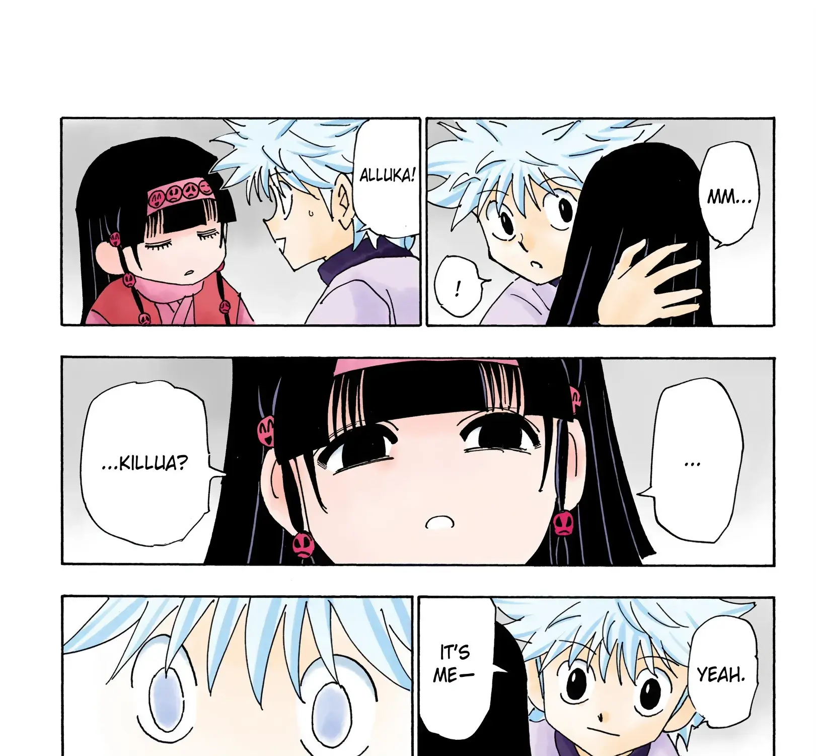 Hunter x Hunter Colored Manga, chapter 336, page 25