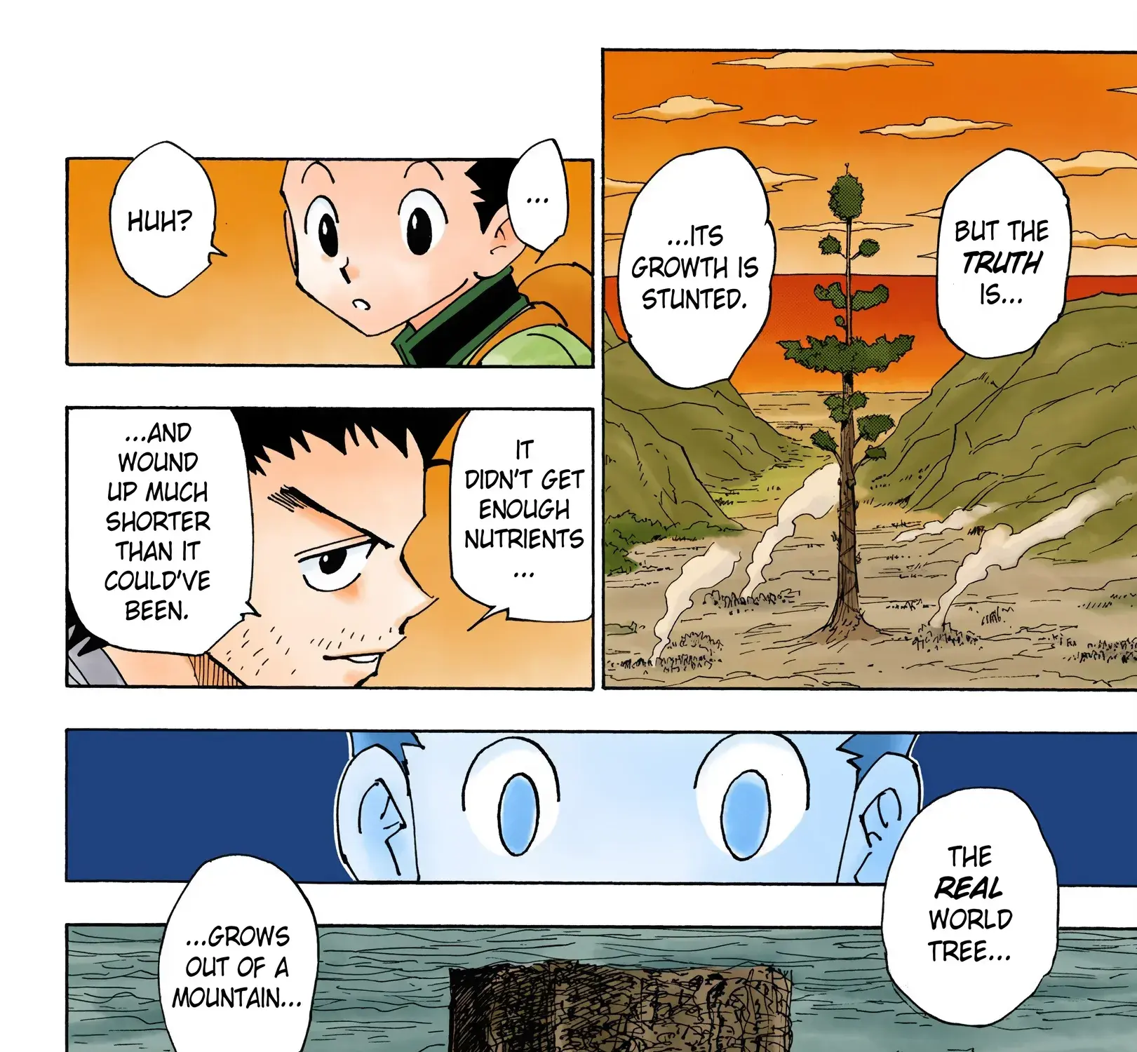Hunter x Hunter Colored Manga, chapter 338, page 29