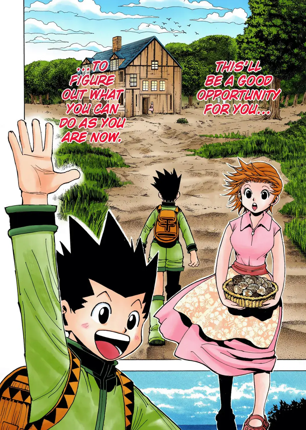 Hunter x Hunter Colored Manga, chapter 345, page 3