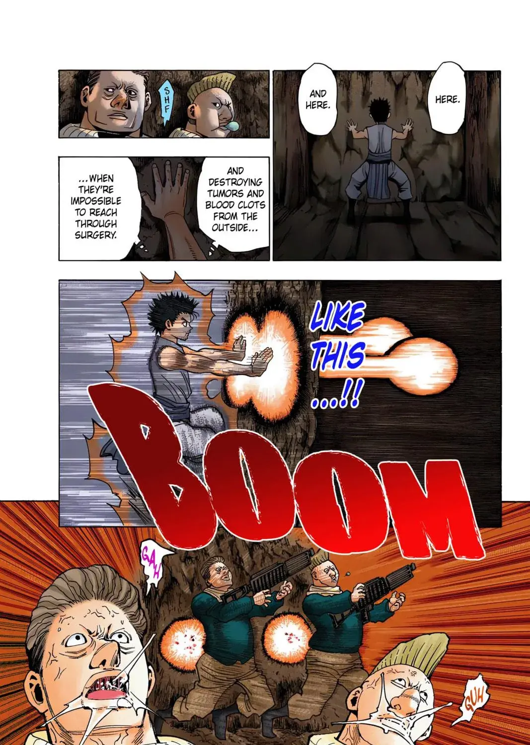Hunter x Hunter Colored Manga, chapter 347, page 17