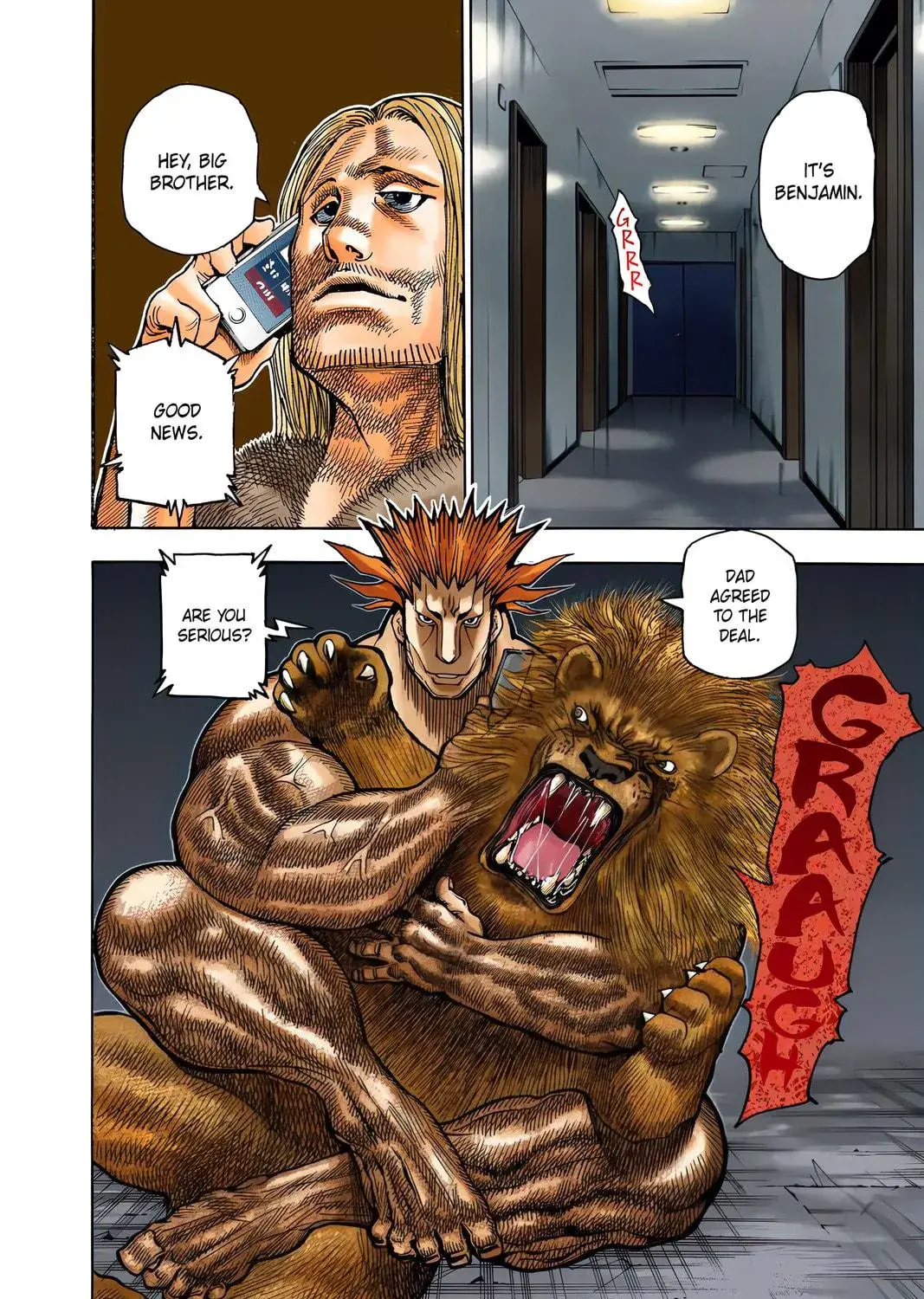 Hunter x Hunter Colored Manga, chapter 348, page 11