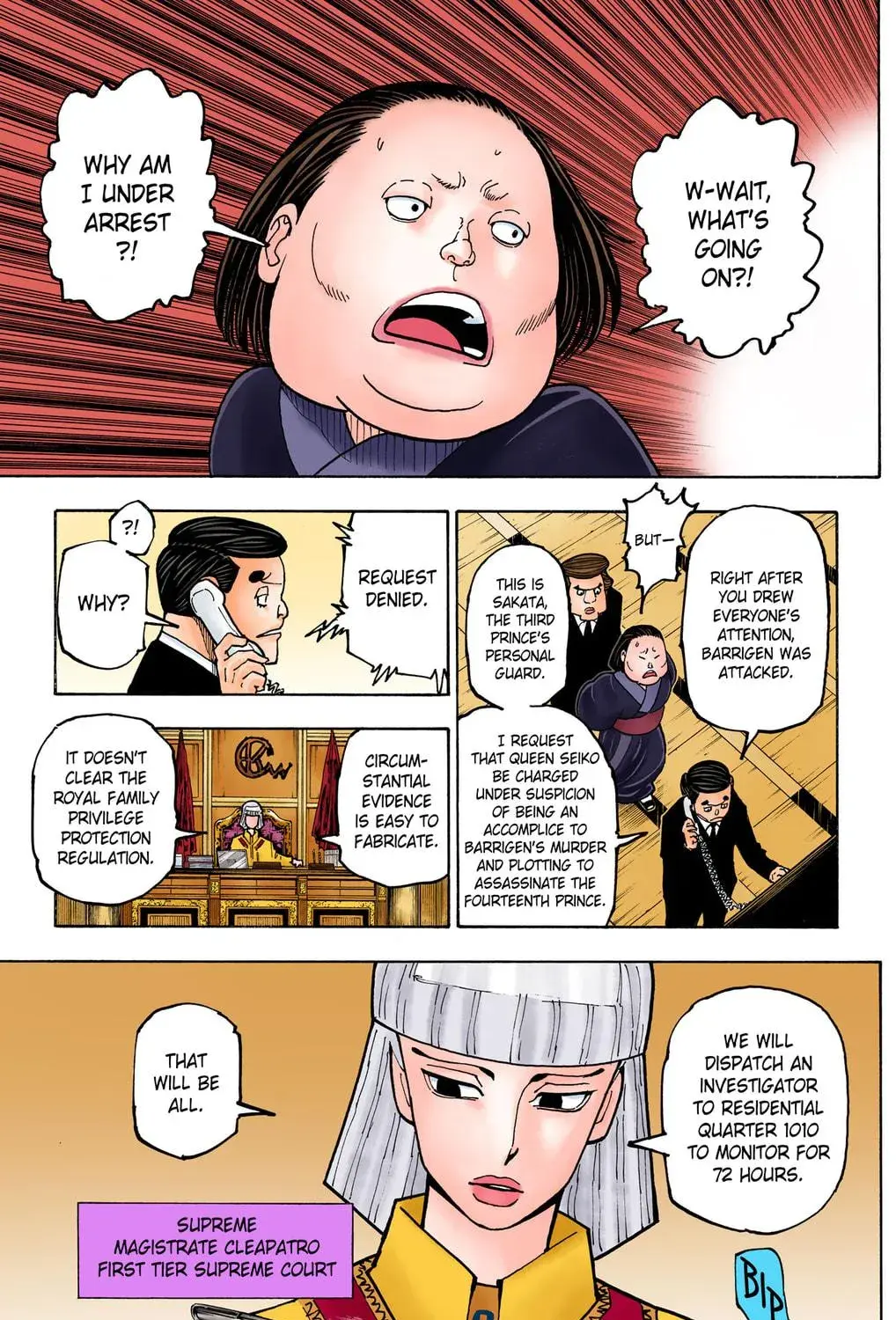 Hunter x Hunter Colored Manga, chapter 371, page 5